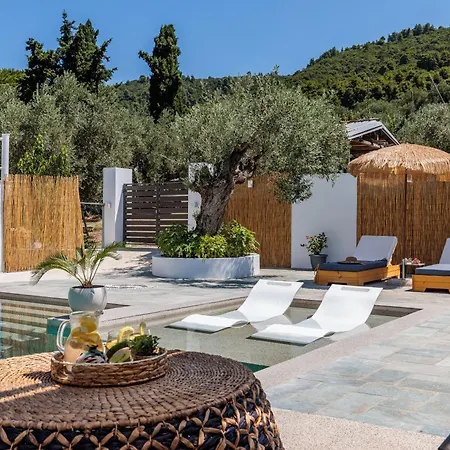 Terpsis Origin * 斯塔菲罗斯